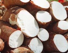 Cassava ingredients